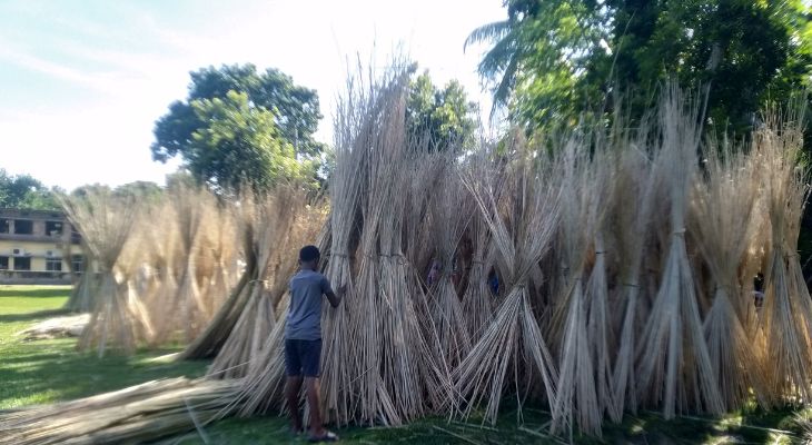 লোহাগড়ায় বেড়েছে পাটকাঠির কদর