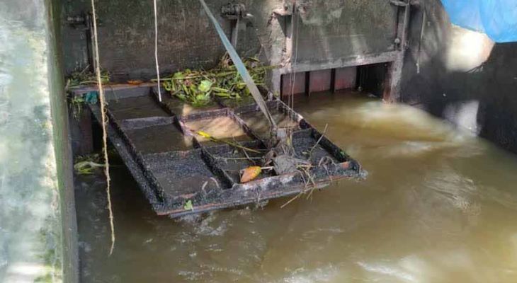 বাদোখালী বিল : এক সময়ের আয়ের উৎস এখন স্থানীয়দের গলার কাটা