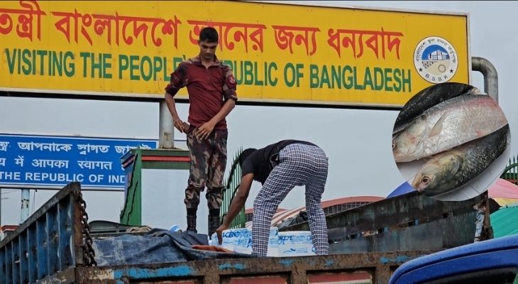 দুইদিনে বেনাপোল দিয়ে রফতানি হলো ৯৯ মেট্রিক টন ইলিশ