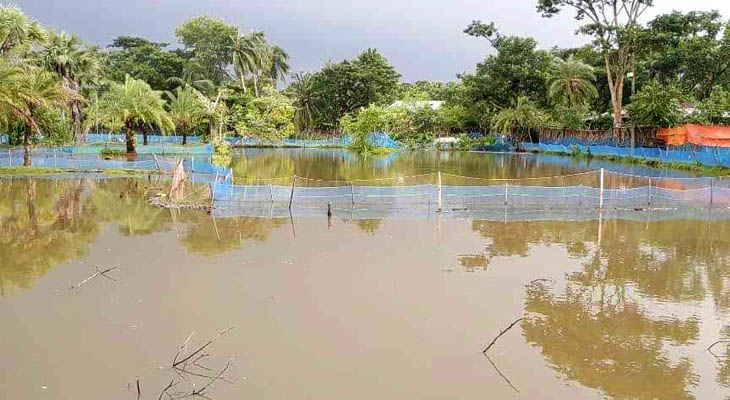 বাগেরহাটে টানা বৃষ্টিতে ভেসে গেছে ৭ হাজার মৎস্য ঘের, কোটি টাকার ক্ষতি