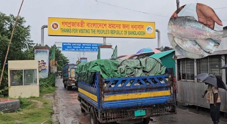 ৫দিনে বেনাপোল দিয়ে ভারতে গেল ২৭৭ মেট্রিক টন ইলিশ, কম দামে রফতানি