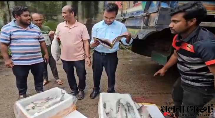 বন্ধের দিনেও ভারতে গেলো ইলিশ, দশ দিনে ৪৮১ টন রপ্তানি