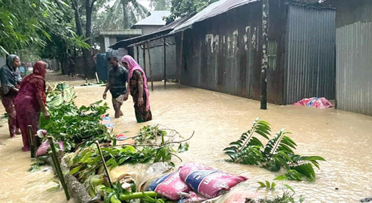 শেরপুরে বন্যা পরিস্থিতির উন্নতি, চারদিনে নিহত ১১