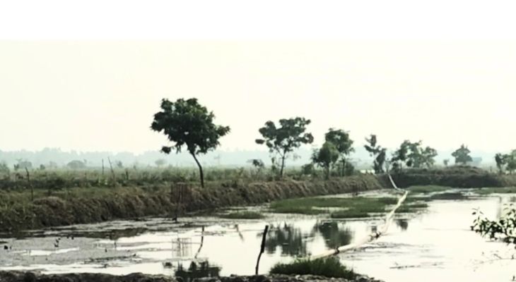 জনবসতি এলাকার কৃষি জমি থেকে বালু উত্তোলন, পরিবশে ঝুঁকিতে