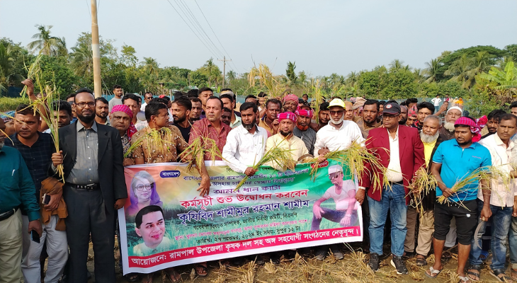 কৃষকের ধান কেটে ঘরে তুলে দিলেন কৃষিবিদ শামীম