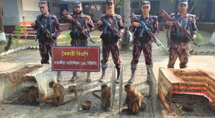 ভারতে পাচারের সময় সাতক্ষীরা সীমান্তে উদ্ধার ৬টি হনুমান