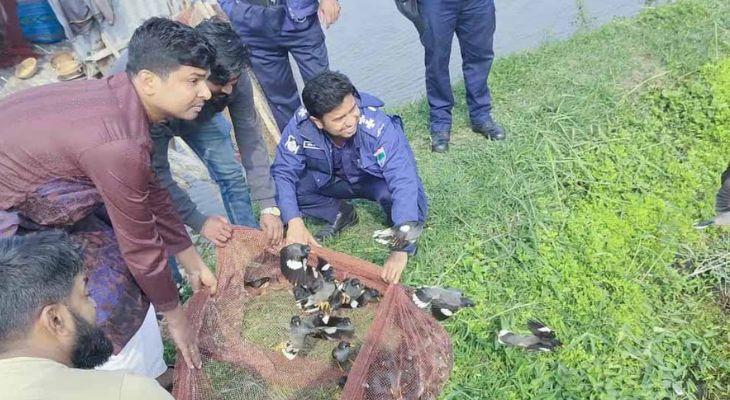 শিকারির ফাঁদে আটকে থাকা ১২শ পাখি অবমুক্ত