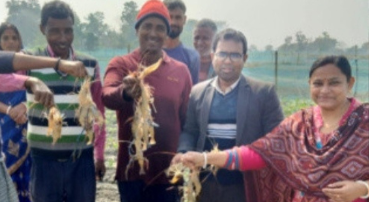 আশাশুনিতে গলদা ক্লাস্টারের ২৫ চাষীর অভাবনীয় সাফল্য