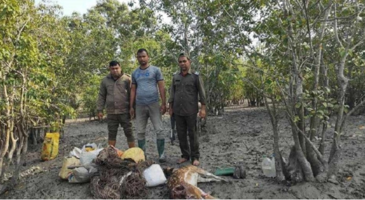 সুন্দরবনে দস্যুতার সঙ্গে বাড়ছে হরিণ নিধন