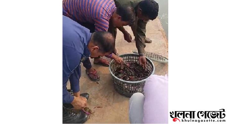 সুন্দরবনে কাঁকড়া শিকারের অভিযোগে দুই জেলে কারাগারে