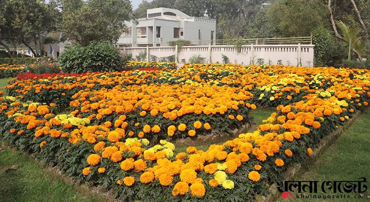 ফুলে ফুলে সুশোভিত খুলনা বিশ্ববিদ্যালয় ক্যাম্পাস, নজর কাড়ছে দর্শনার্থীদের