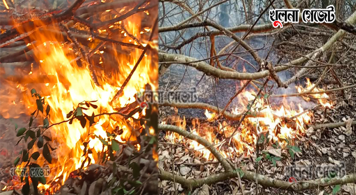 সুন্দরবনের কলমতেজী এলাকায় আগুন (ভিডিও)