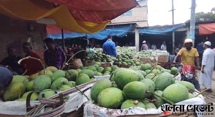 বাজারে উঠতে শুরু করেছে সাতক্ষীরার সুস্বাদু আম