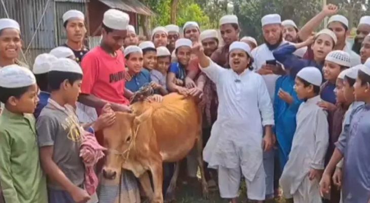 আ.লীগের কার্যক্রম নিষিদ্ধ হওয়ায় গরু জবাই করলেন মাওলানা রফিকুল