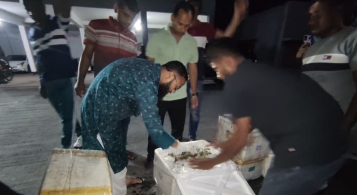 বিজিবির অভিযানে জেলি পুশকৃত ৩শ’ কেজি চিংড়ি জব্দ, পাঁচ জনকে জরিমানা