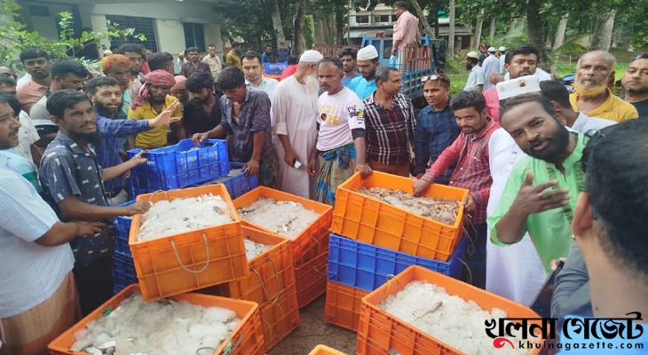 বাগেরহাটে ১০৩ ক্যারেট সামুদ্রিক মাছ জব্দ