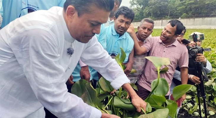 খালিশপুরে স্বেচ্ছাশ্রমে কুচুরিপানা পরিষ্কারের উদ্বোধন