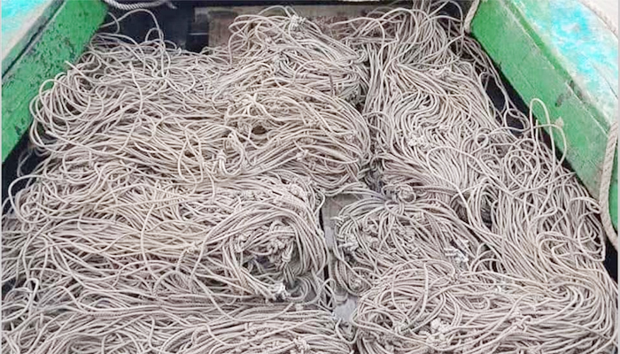 দুই হাজার টাকা পুরস্কার মিলবে এক কেজি ফাঁদে