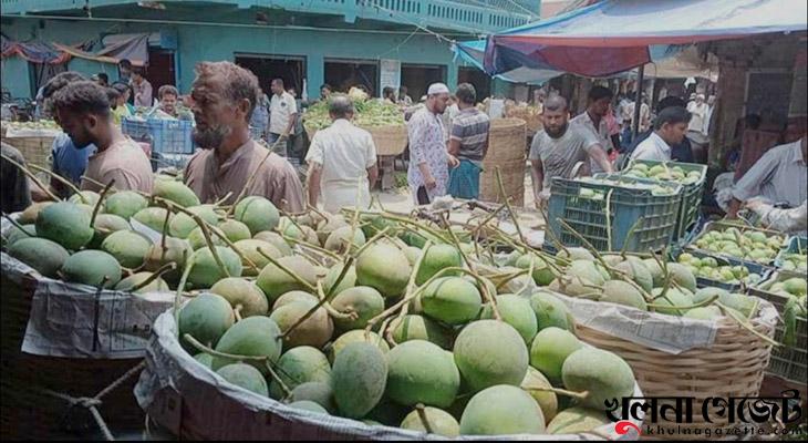 সাতক্ষীরায় আগাম আমে চাহিদা বাড়লেও বাজার সংকটে ভোগান্তি বাড়ছে কৃষকদের