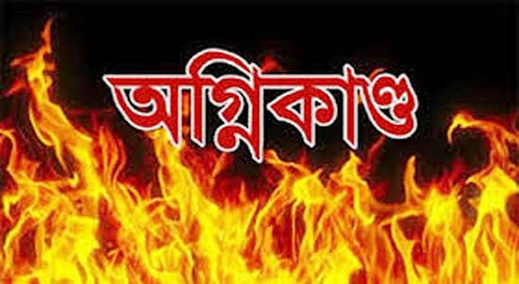 চিতলমারীতে অগ্নিকান্ডে ১০ লাখ টাকার ক্ষতি
