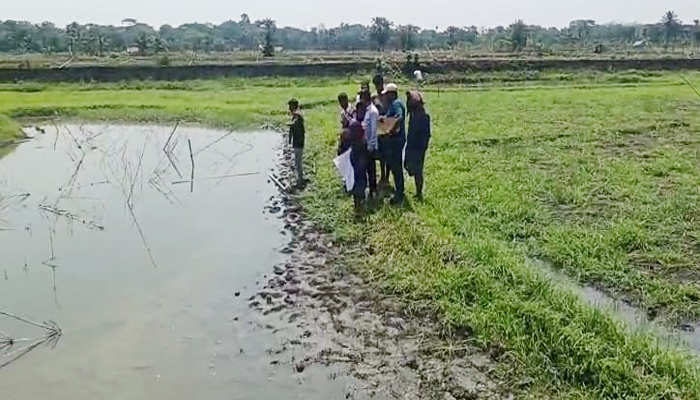 রূপসায় মাছের ঘেরে বিষ প্রয়োগ, ২৫ লাখ টাকার ক্ষতি
