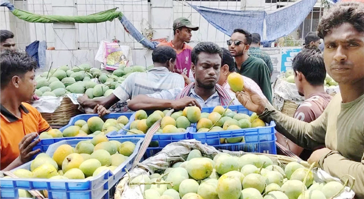 সাতক্ষীরায় হিমসাগর আম সংগ্রহের সূচি পরিবর্তনে প্রশাসনের জরুরি সভা