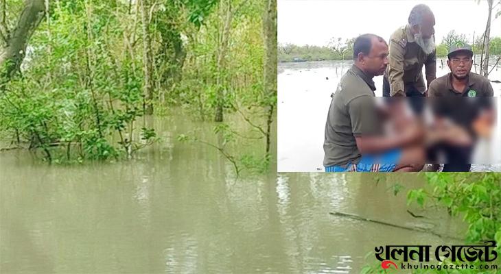 সুন্দরবনের অভ্যন্তরে জলোচ্ছ্বাস, জোয়ারের ভেসে আসা হরিণের বাচ্চা উদ্ধার