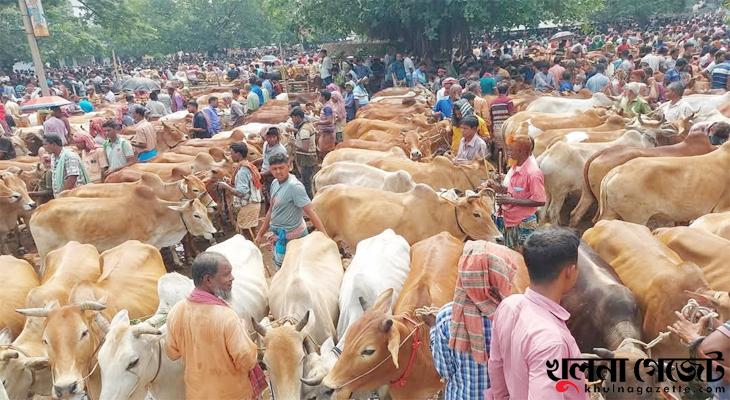 বৈরী আবহাওয়ার প্রভাব পড়েনি ইখড়ি গরু-ছাগলের হাটে