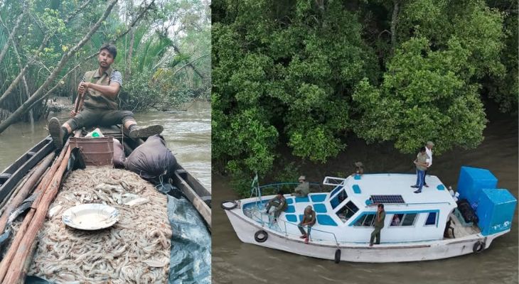 ড্রোনে নজরদারি: পূর্ব সুন্দরবনে বিষ দিয়ে মাছ ধরার নৌকা জব্দ