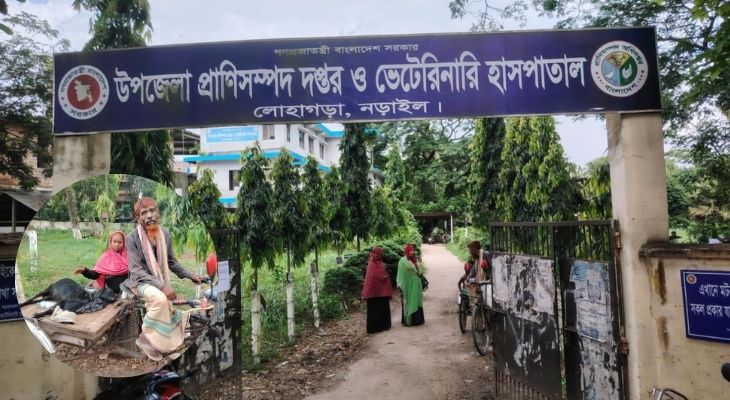 লোহাগড়ায় পশু হাসপাতালে চিকিৎসা না পেয়ে মারা গেল ভ্যান চালকের স্বপ্ন !