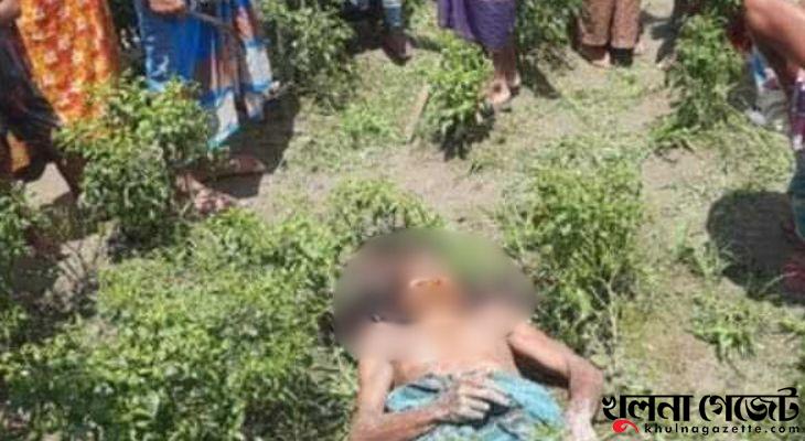 ঝিনাইদহে ছেলের হাতে বাবা খুন