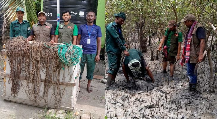 সুন্দরবনের টেকেরখাল এলাকা থেকে ১০ কেজি ফাঁদ উদ্ধার