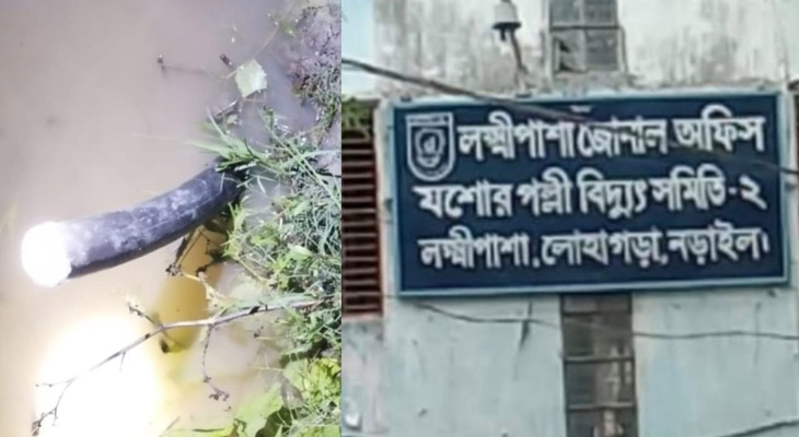 লোহাগড়ায় আন্ডারগ্রাউন্ড বিদ্যুৎ ক্যাবল চুরি, ভোগান্তিতে ২৬ হাজার গ্রাহক