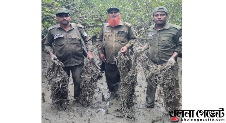 সুন্দরবনে হরিণ শিকারের ফাঁদ উদ্ধার, ধরাছোঁয়ার বাইরে বন খেকোরা