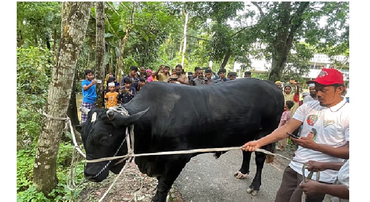 ‘কালো মানিক’কে ফিরিয়ে দিলেন খালেদা জিয়া, দোয়া চাইলেন সবার