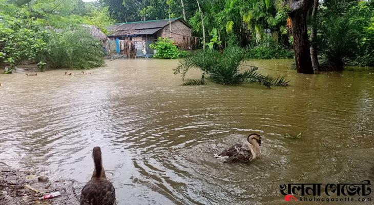 প্রতি বর্ষায় একই দুর্ভোগ, অতি বৃষ্টিতে ডুবছে ফসল-ঘের