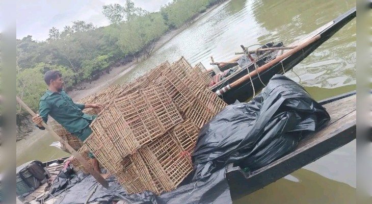 সুন্দরবনে কাঁকড়া শিকার প্রতিরোধে বন বিভাগের অভিযানে চারুসহ ৪টি নৌকা জব্দ