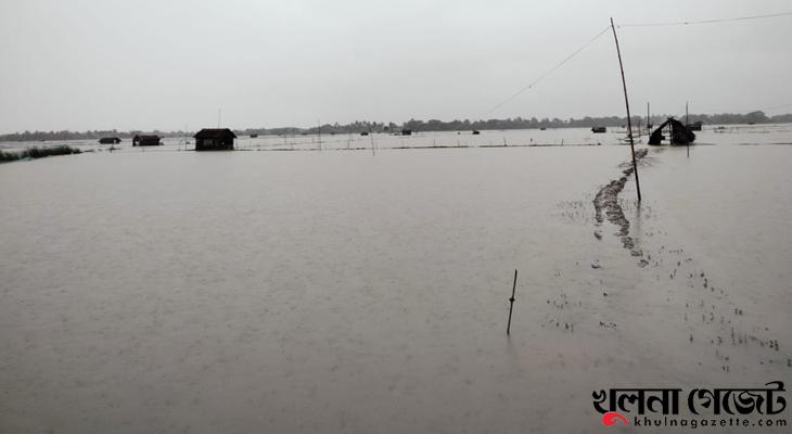 পাইকগাছায় ভারী বর্ষণে হাজার হাজার মৎস্য ঘের প্লাবিত, জনদূর্ভোগ চরমে