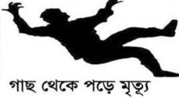 শ্যামনগরে গাছ থেকে পড়ে শ্রমিকের মৃত্যু