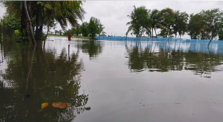 পাইকগাছায় বিরামহীন বৃষ্টিতে প্লাবিত পুকুর, ঘের ও ফসলি জমি