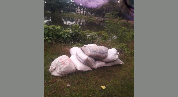 সাতক্ষীরা সরকারী কলেজ পুকুরে গোবর ফেলে নষ্ট করা হচ্ছে সুপেয় পানির আধার 