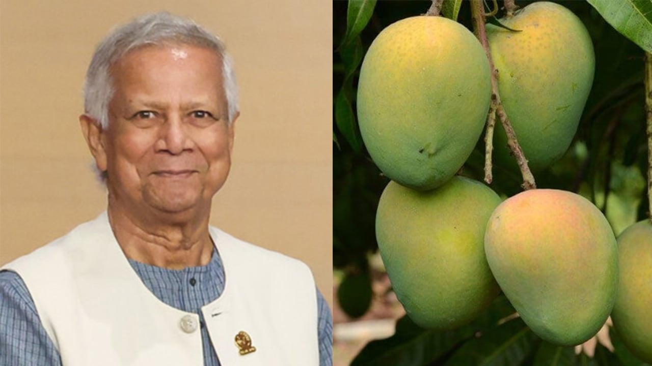 ভারত-পাকিস্তানসহ পাঁচ সরকার প্রধানকে ড. ইউনূসের উপহার