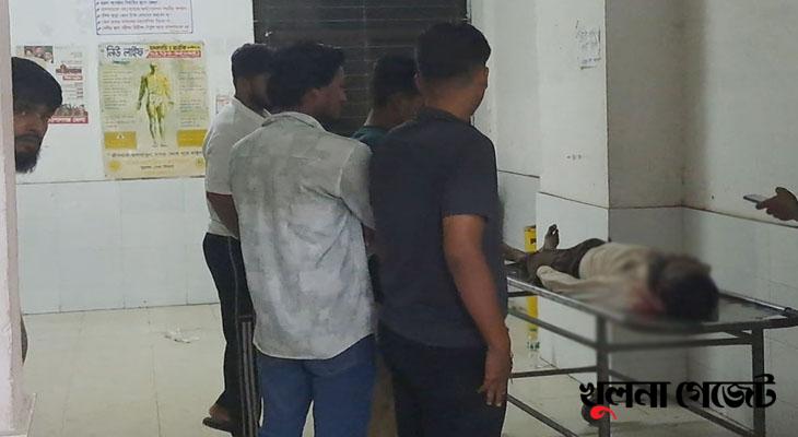 গোপালগঞ্জে যাত্রীবাহী বাস চাপায় দুই ভাই নিহত
