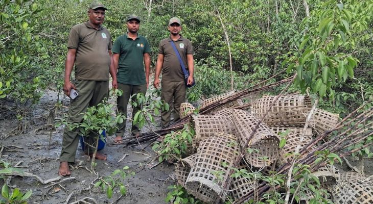 দুবলারচরে বন বিভাগের অভিযান, কাঁকড়া ধরার ফাঁদ জব্দ ও ধ্বংস
