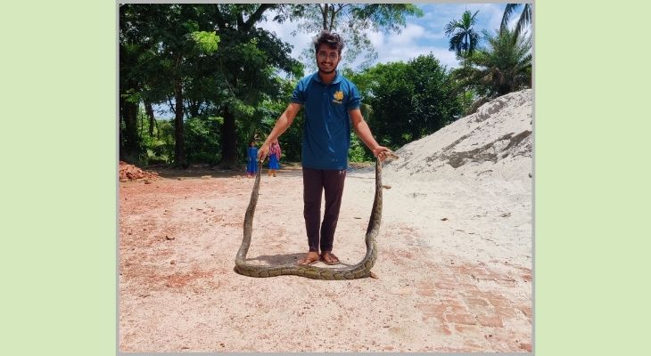 শরণখোলায় অজগরের পেটে পাঁচ হাঁস
