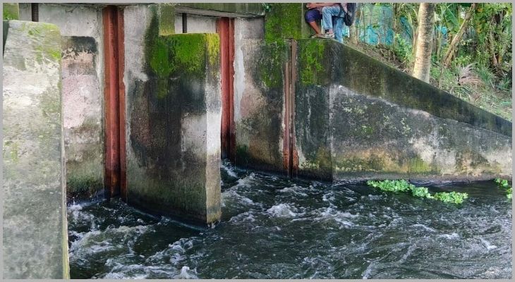 বিলডাকাতিয়াসহ ডুমুরিয়ার পানি নিষ্কাশনে খুলে দেওয়া হলো কালিঘাট স্লুইজ গেট