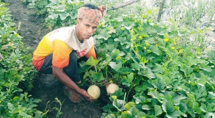 ‘রক মেলন’ এখন খুলনায় নতুন সম্ভাবনার দিগন্ত উন্মোচন করছে