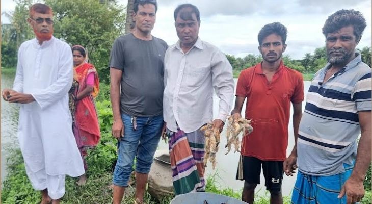 ফকিরহাটে মাছের ঘেরে বিষ প্রয়োগ, প্রায় পাঁচ লাখ টাকার ক্ষতি
