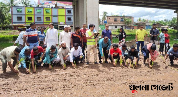 খুলনার শিপইয়ার্ড সড়কে ধানের চারা রোপণ করে নিসচা’র প্রতিবাদ