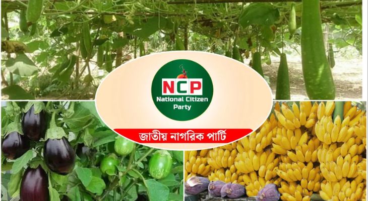 এনসিপিকে বেগুন-কলা-লাউসহ ৫০ প্রতীকের অপশন দিল ইসি